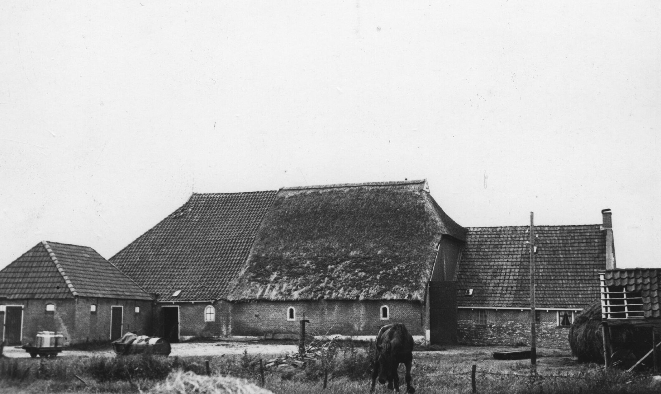 Stelpboerderij, Katlijk, 1936 (zwart-wit negatief)
