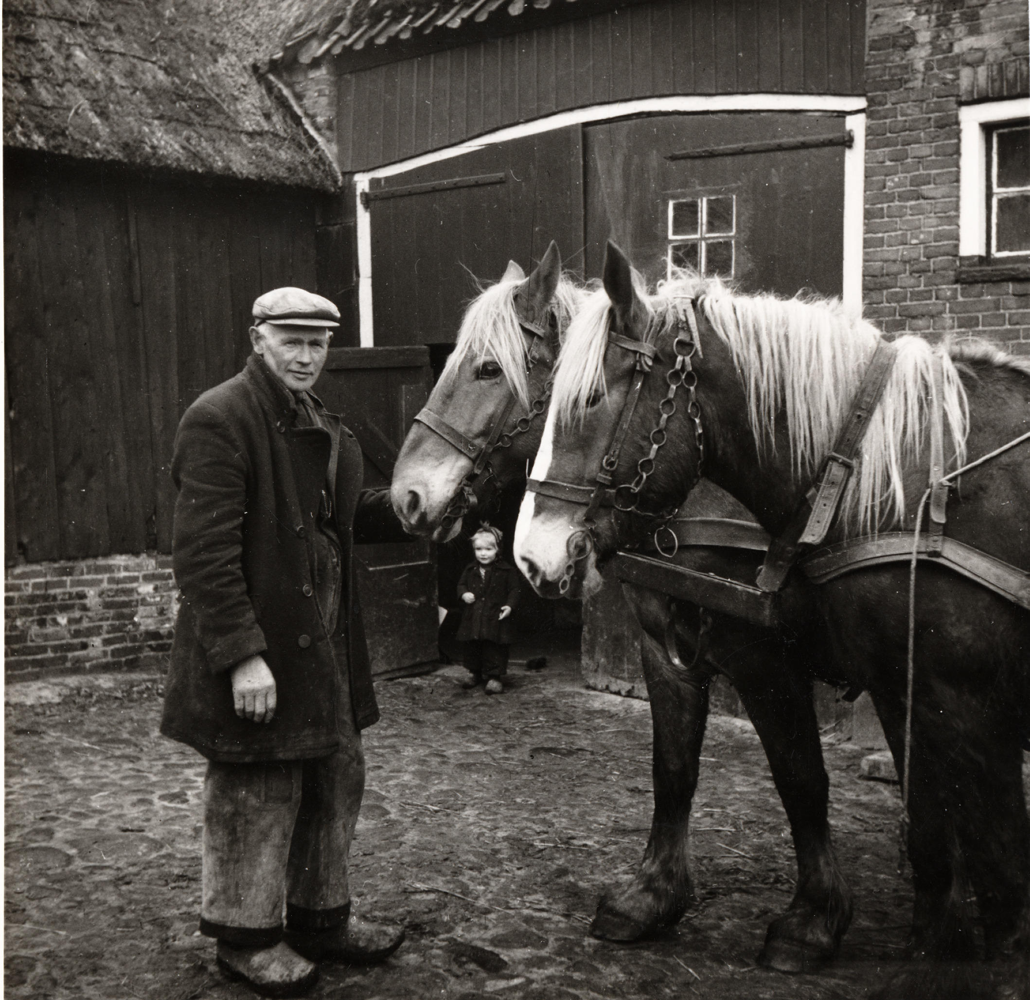 Man met paarden bij boerderij, Zeijen, 1951 (zwart-wit foto)