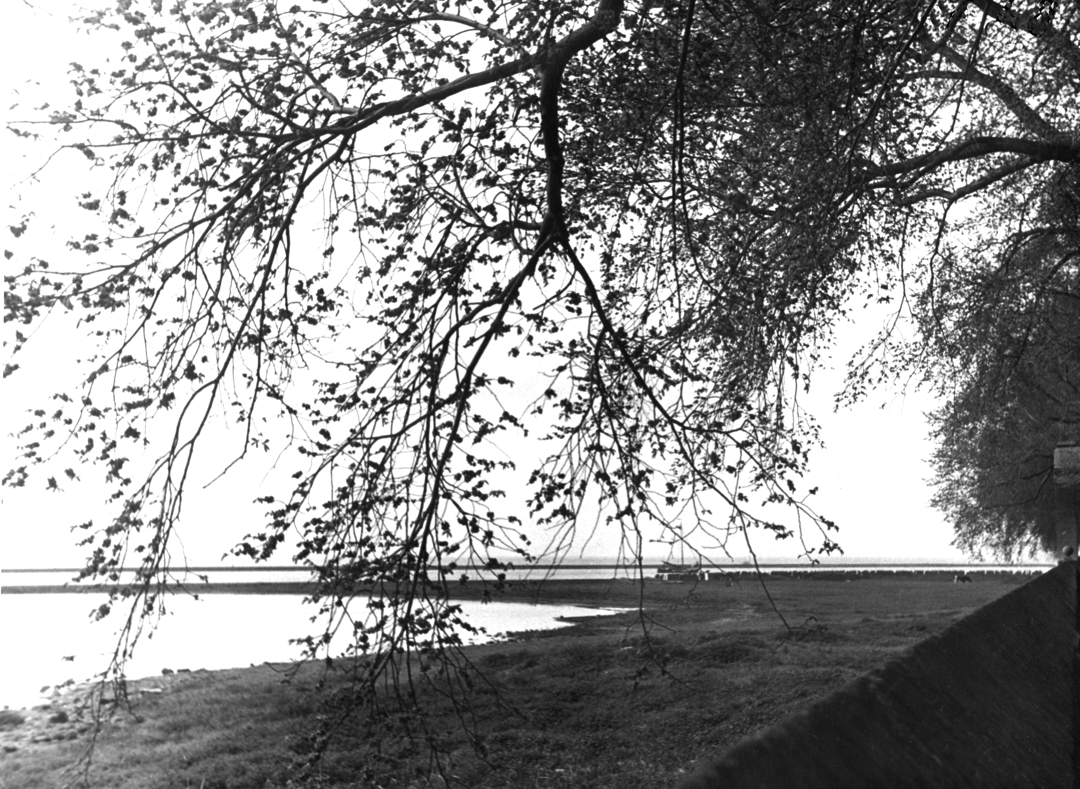 IJsselmeer bij Enkhuizen, 1942 (zwart-wit negatief)