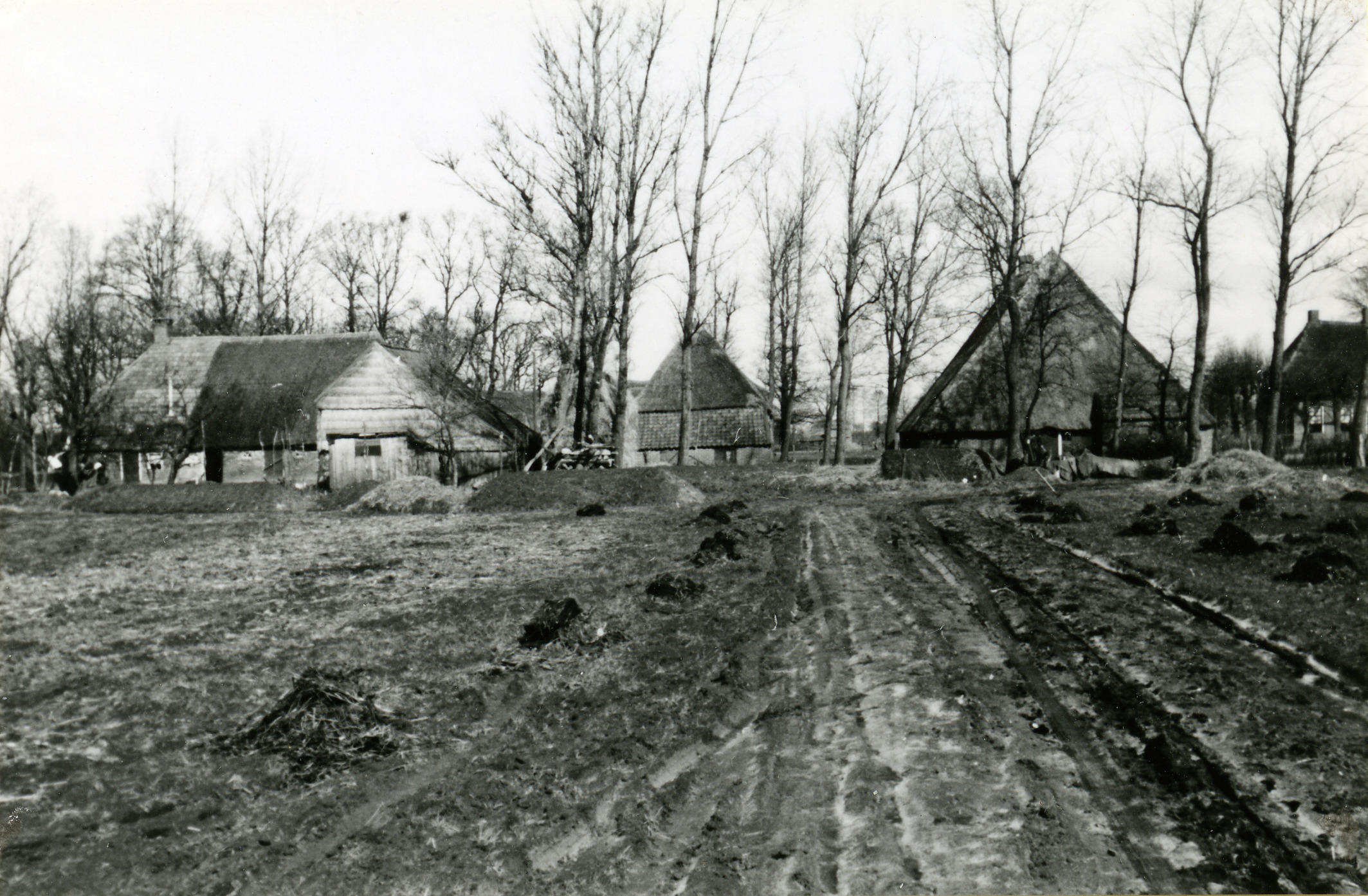 Boerderijen, Orvelte, 1944 (zwart-wit negatief)