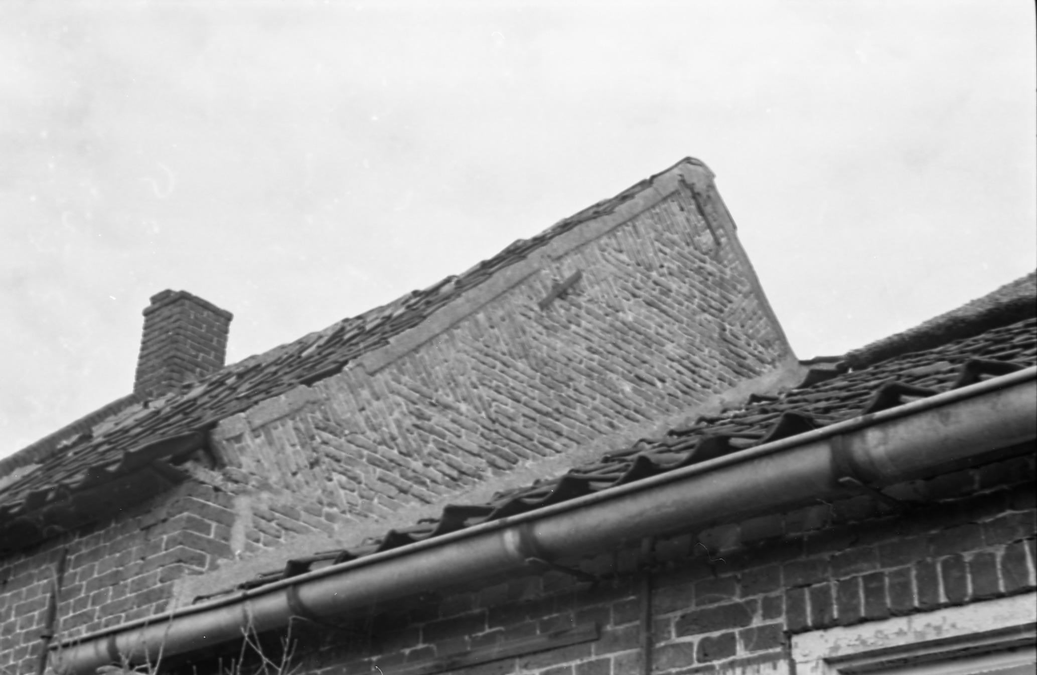 Boerderij, Berghem, 1970 (zwart-wit negatief)