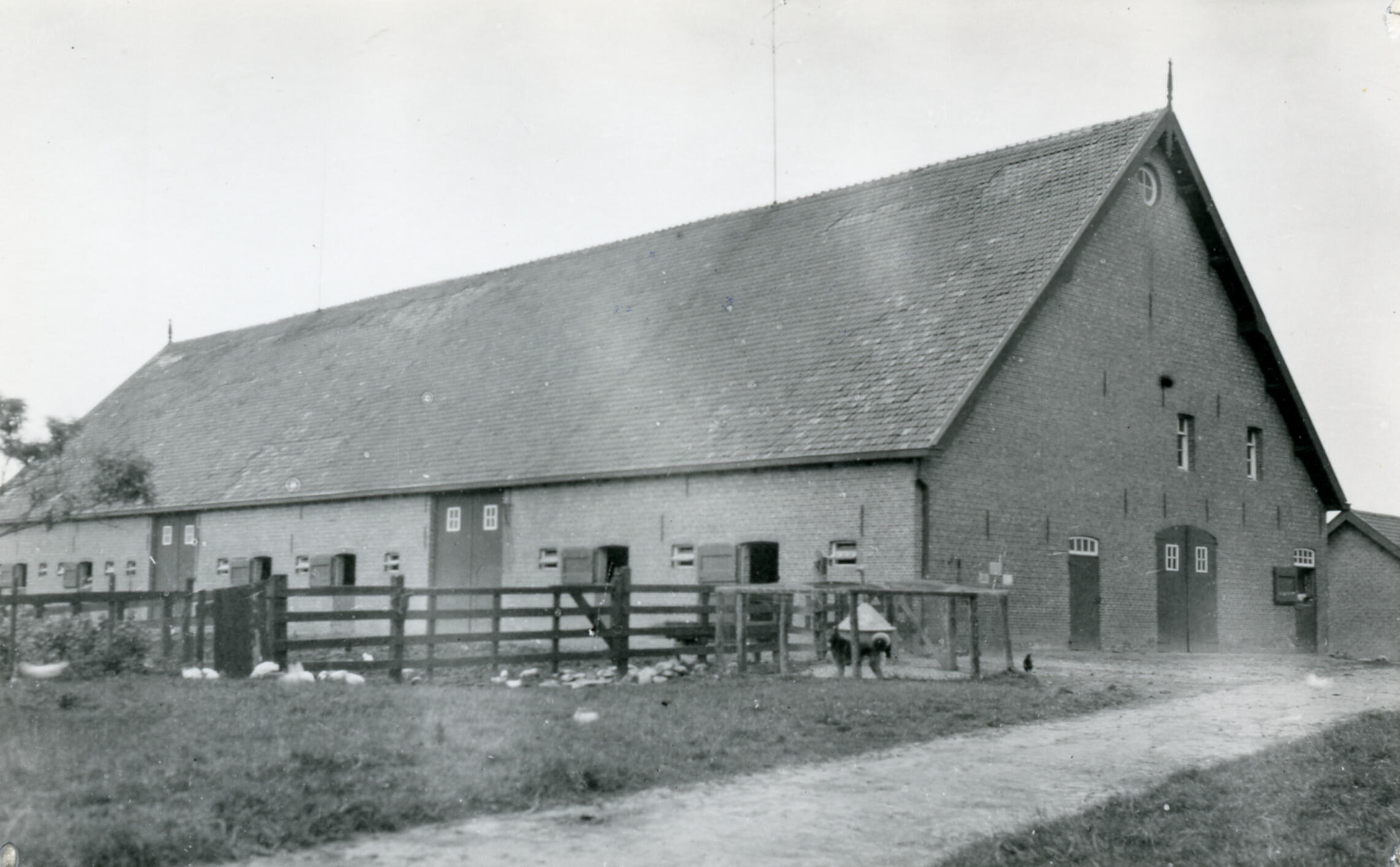 Boerderij, Rilland, 1930-1940 (zwart-wit foto)