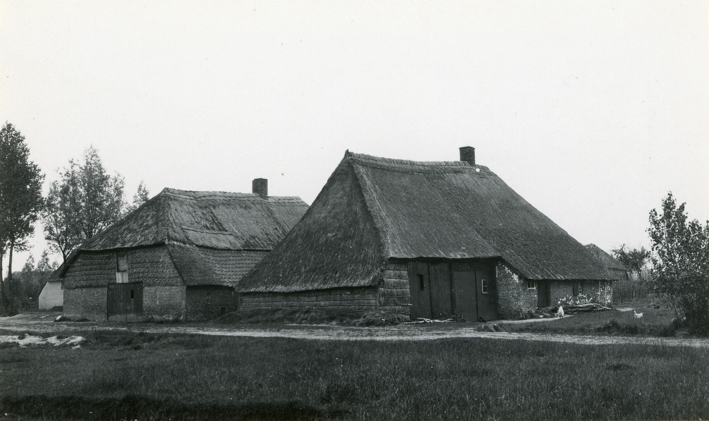 Boerderijen, Nistelrode, 1929 (zwart-wit negatief)