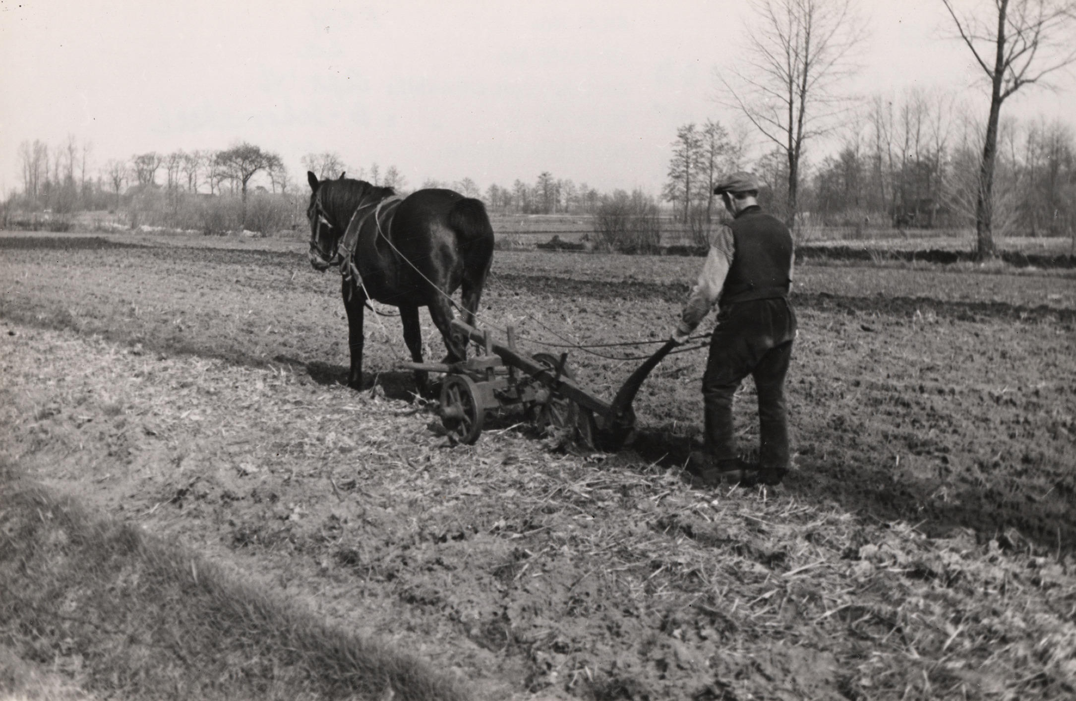 Ploegende boer, Oud Schoonebeek, 1946 (zwart-wit foto)