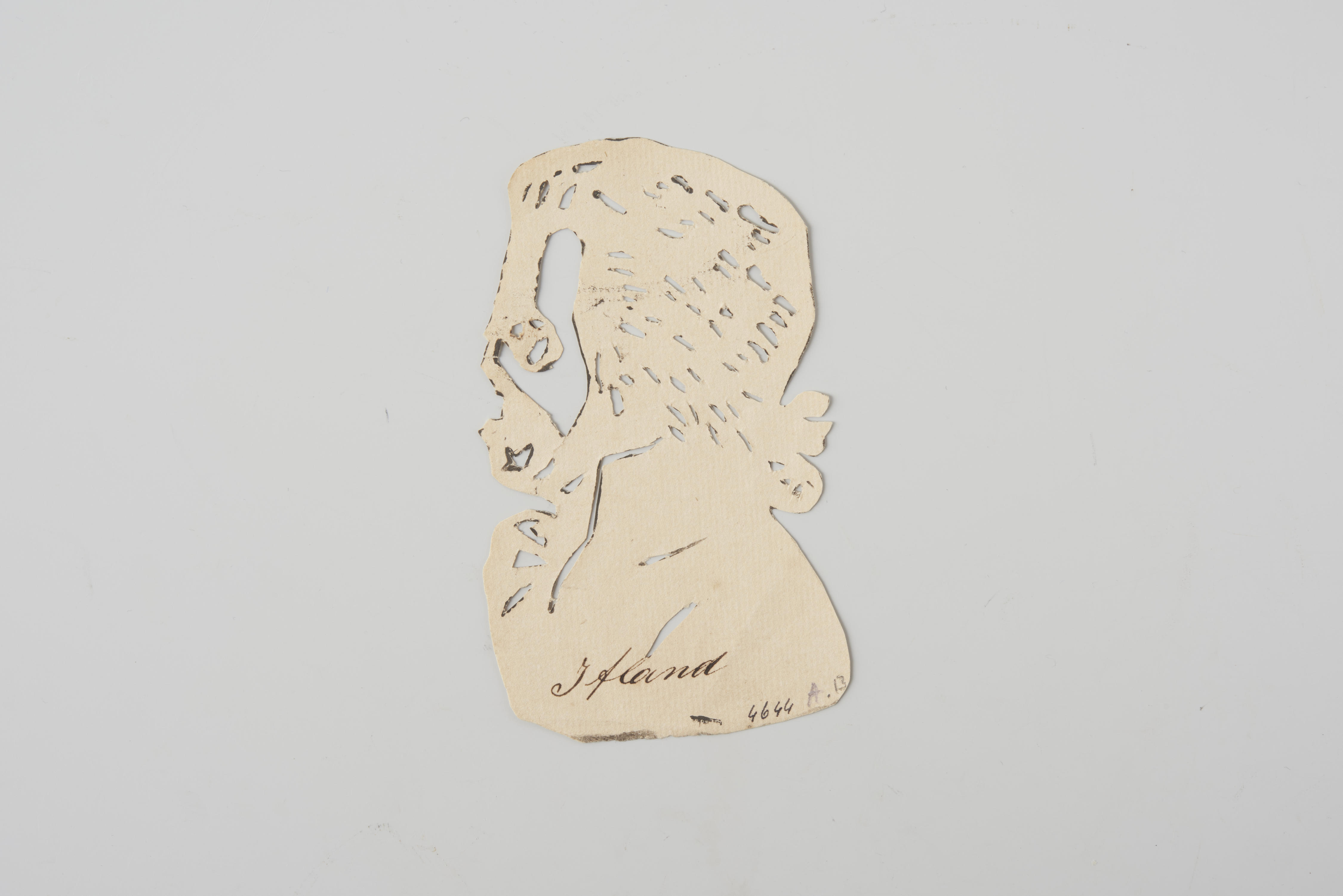 Coptografisch figuur: een man