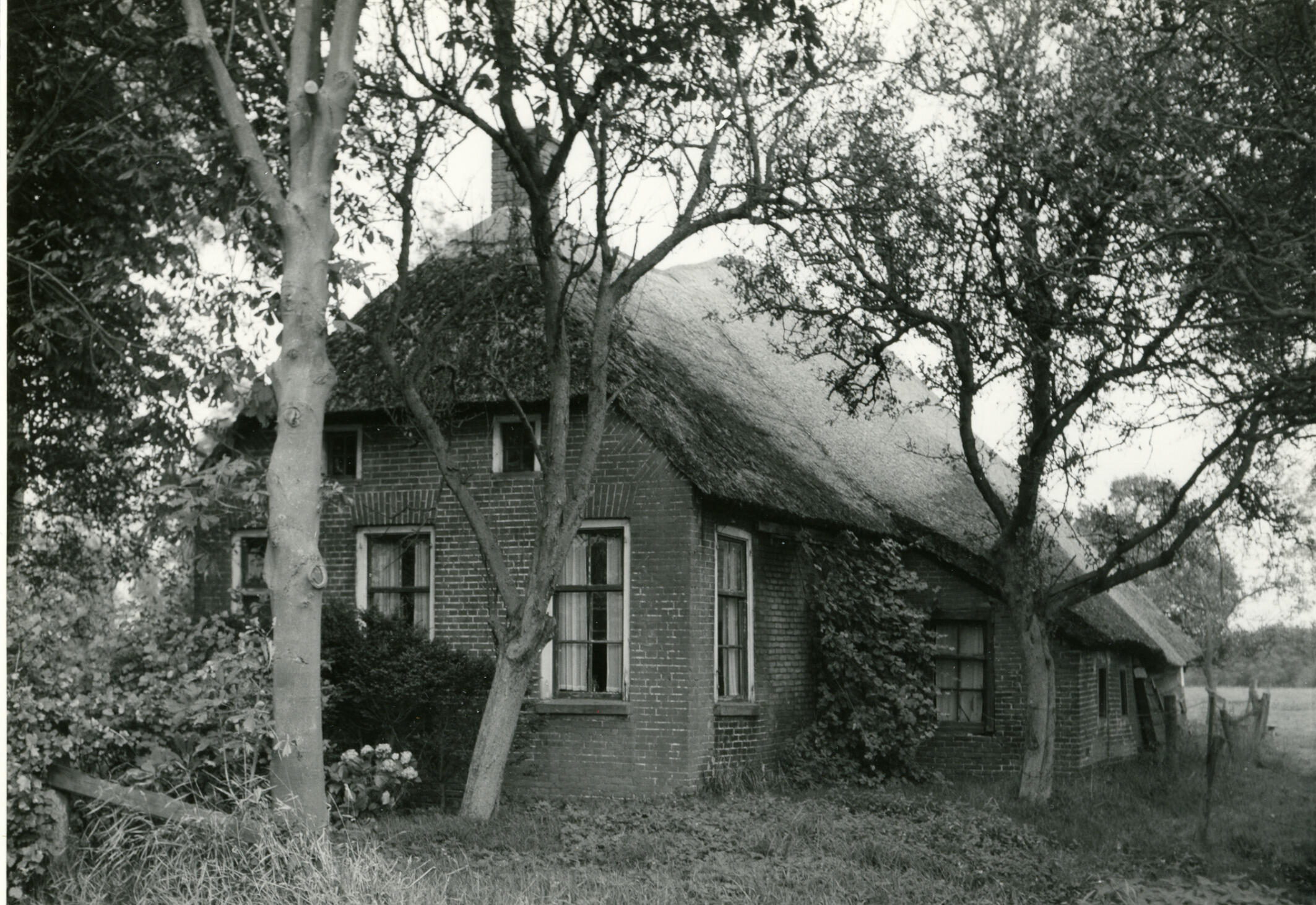 Boerderij, Giethoorn, 1965 (zwart-wit negatief)