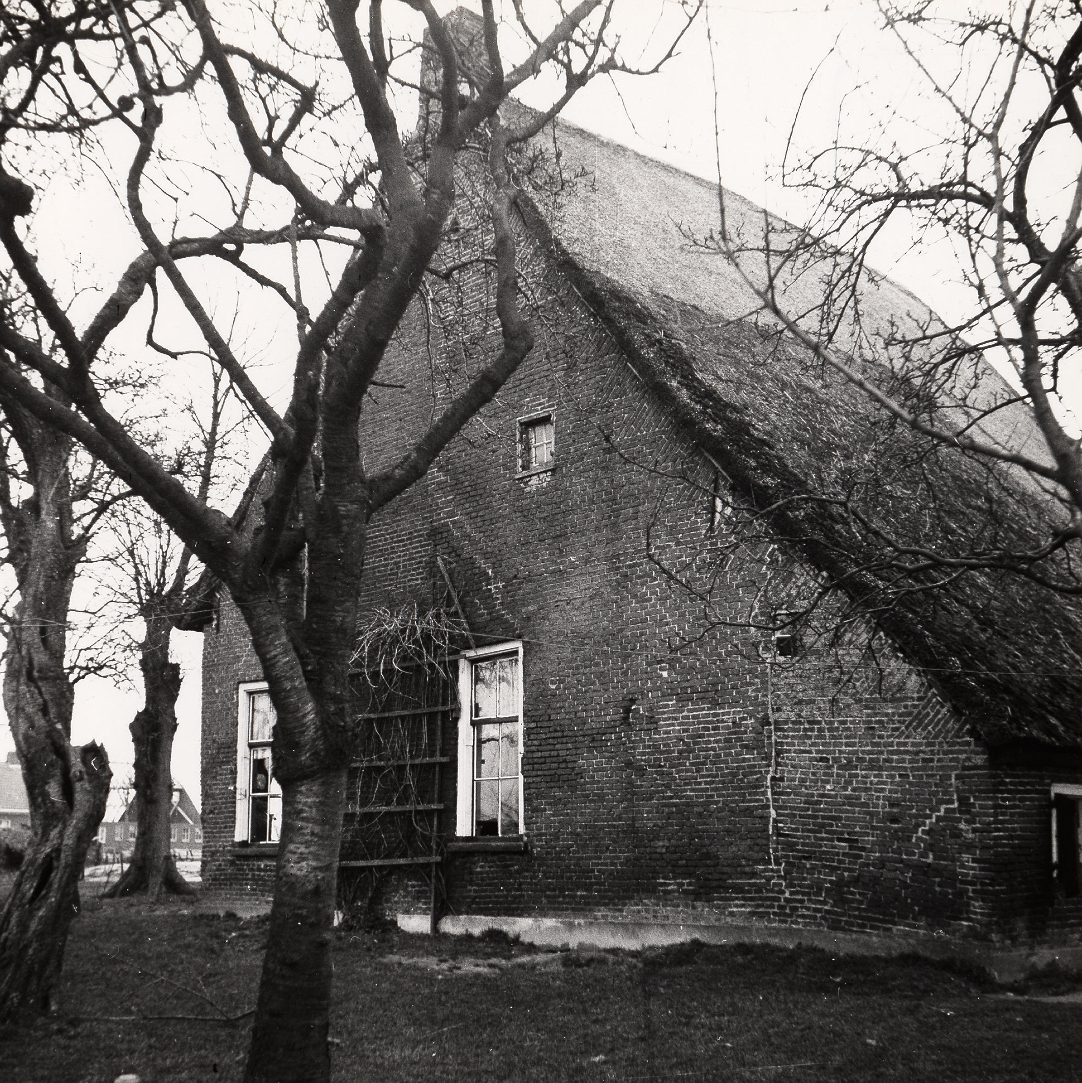 Boerderij, Zeijen, 1951 (zwart-wit foto)
