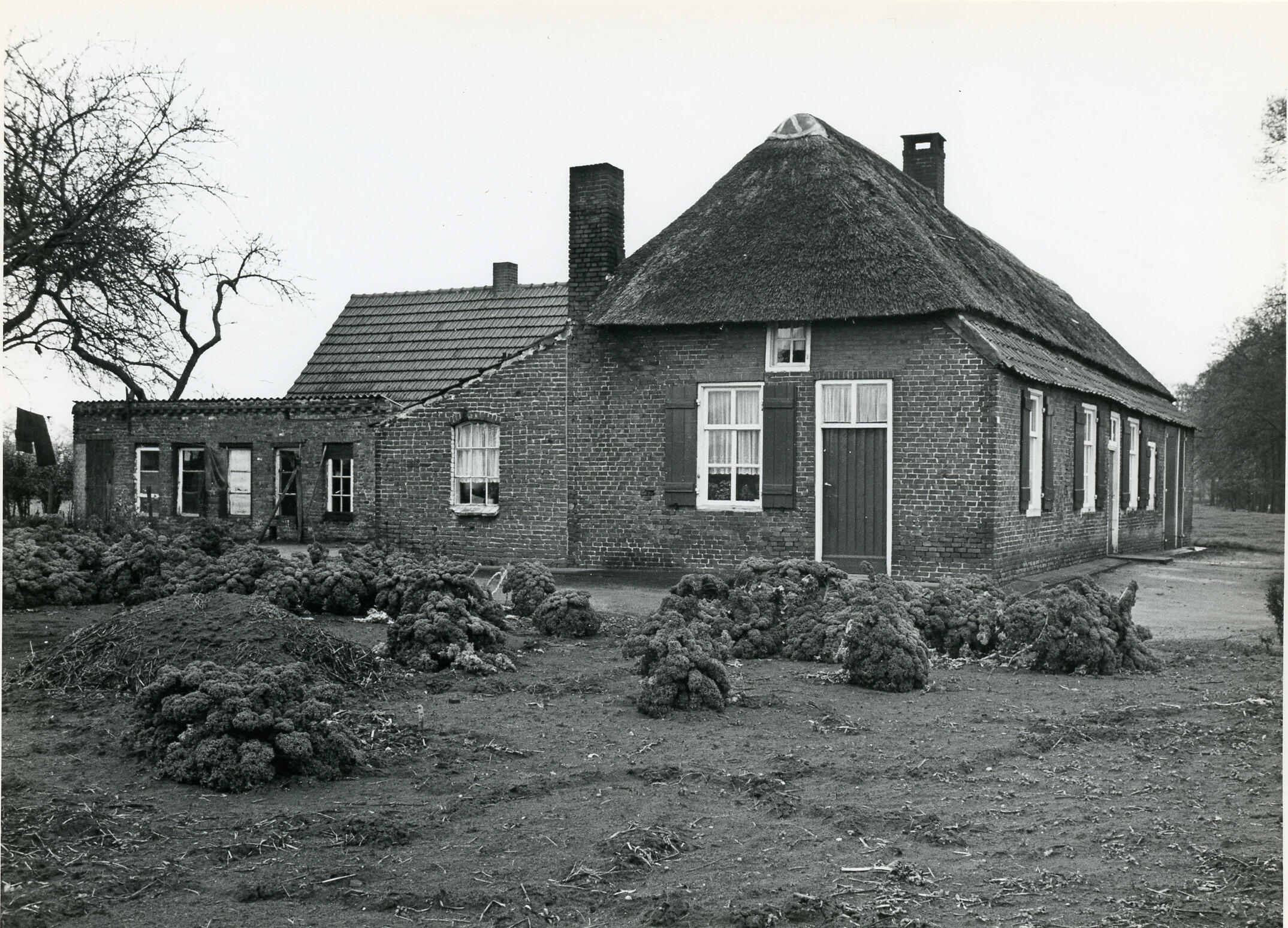 Boerderij en werkplaats van stoelenmaker Hendrik van der Pas, Heeswijk, 1972 (zwart-wit foto)
