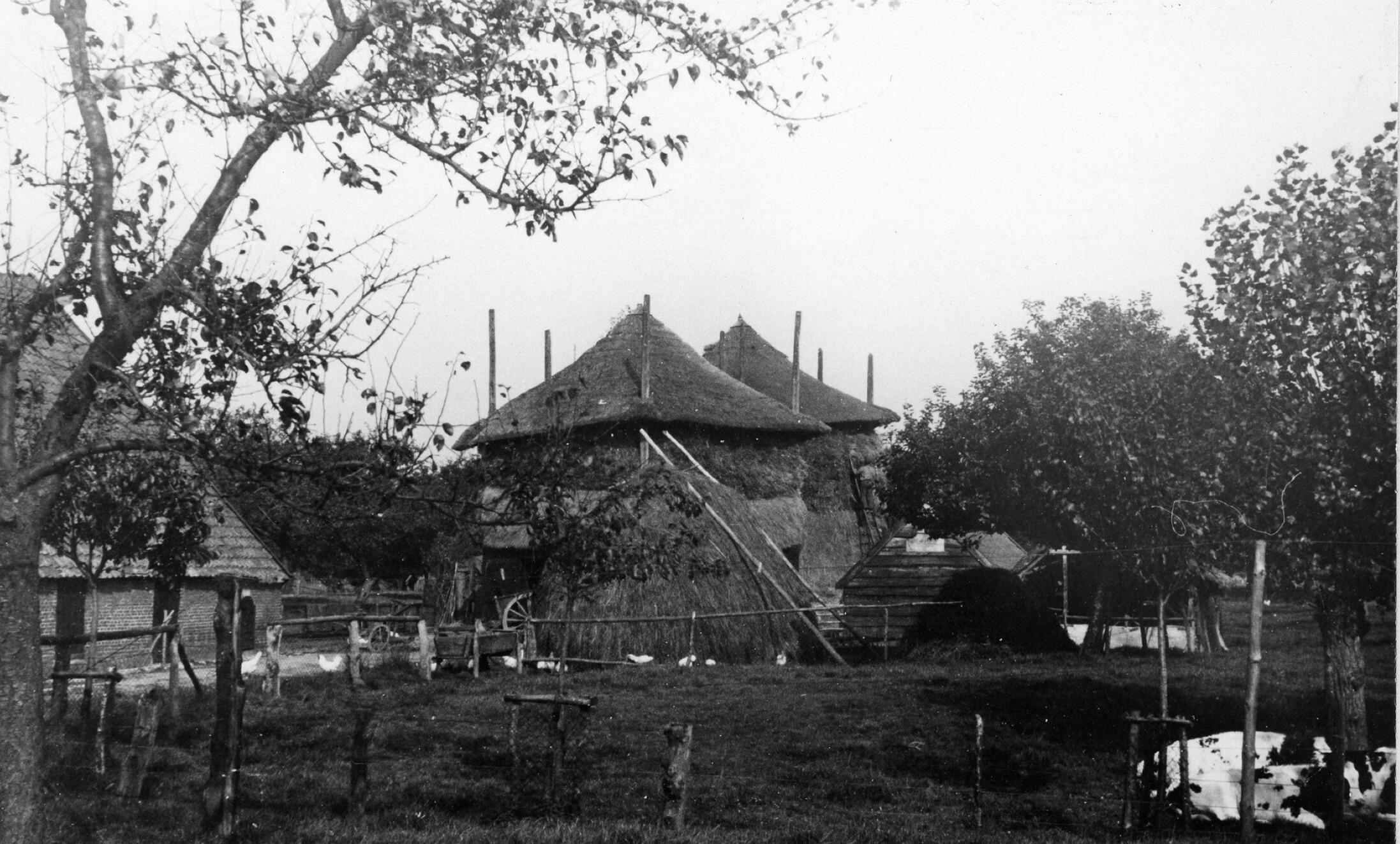 Boerenerf met hooibergen, Rhenen, 1936 (zwart-wit foto)