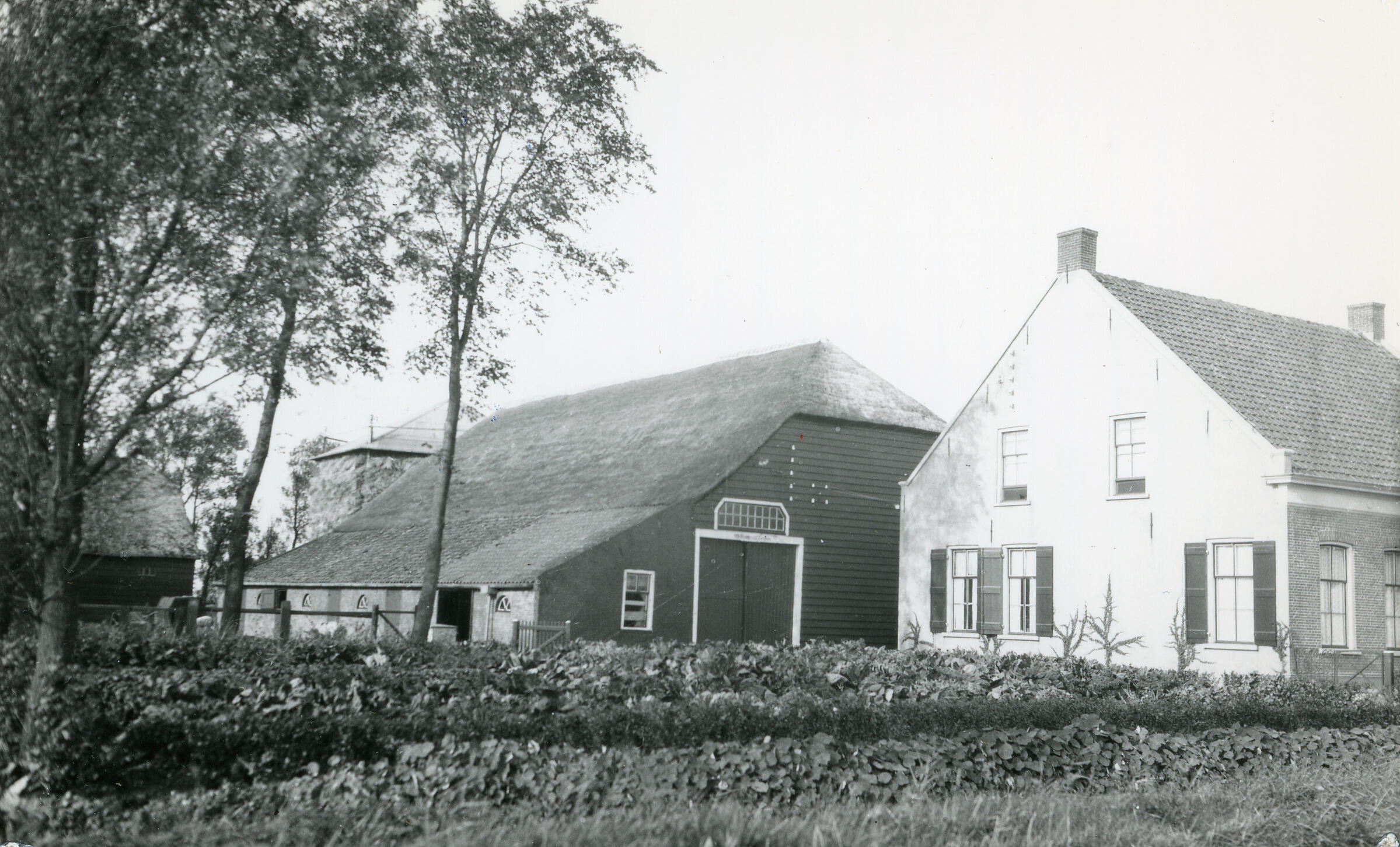 Boerderij in de Haarlemmermeer, 1939 (zwart-wit negatief)
